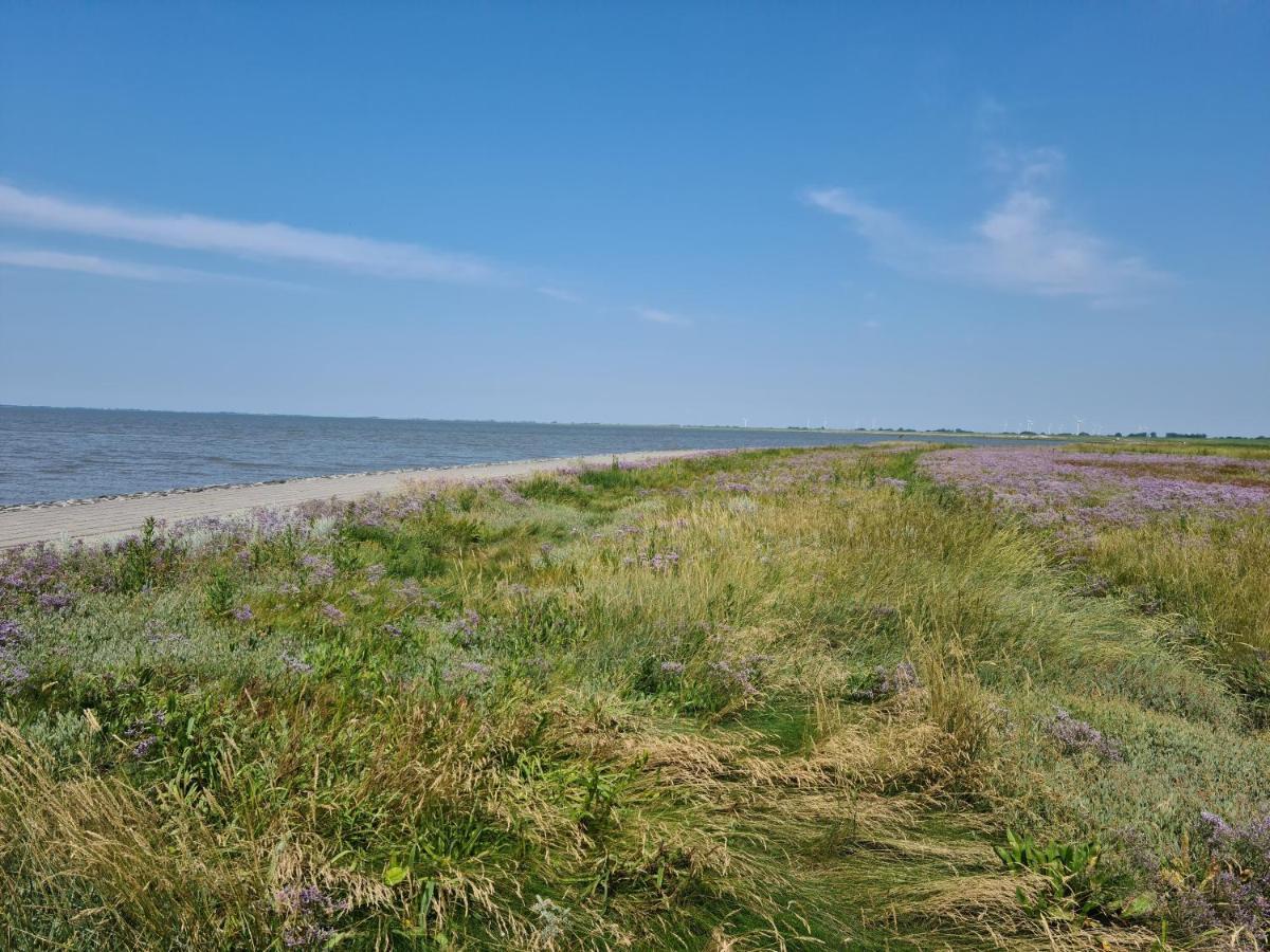 Haus Meererleben - Urlaub Mit Hund An Der Nordsee Schweiburg Εξωτερικό φωτογραφία