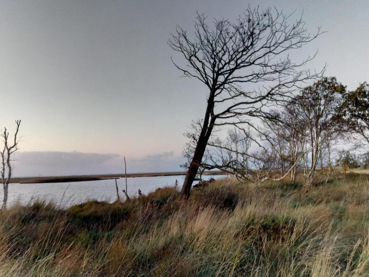 Haus Meererleben - Urlaub Mit Hund An Der Nordsee Schweiburg Εξωτερικό φωτογραφία